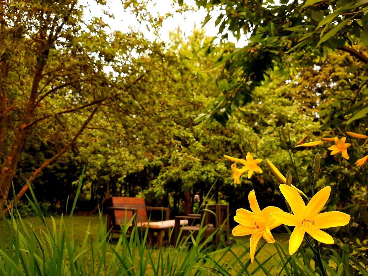 ריגה Champetre Park View Apartments מראה חיצוני תמונה