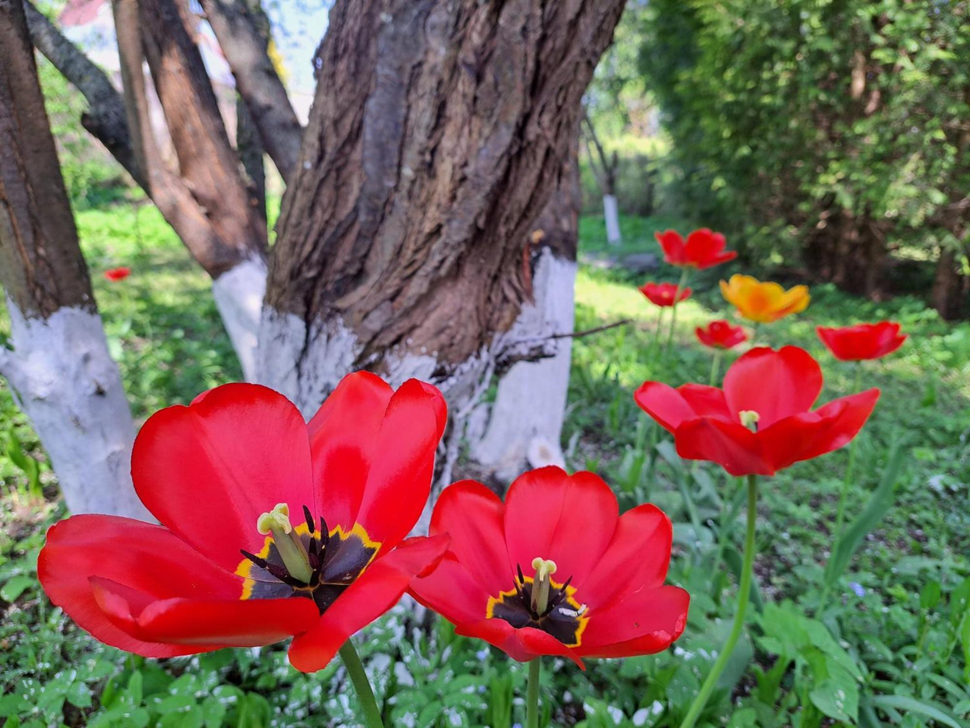 ריגה Champetre Park View Apartments מראה חיצוני תמונה