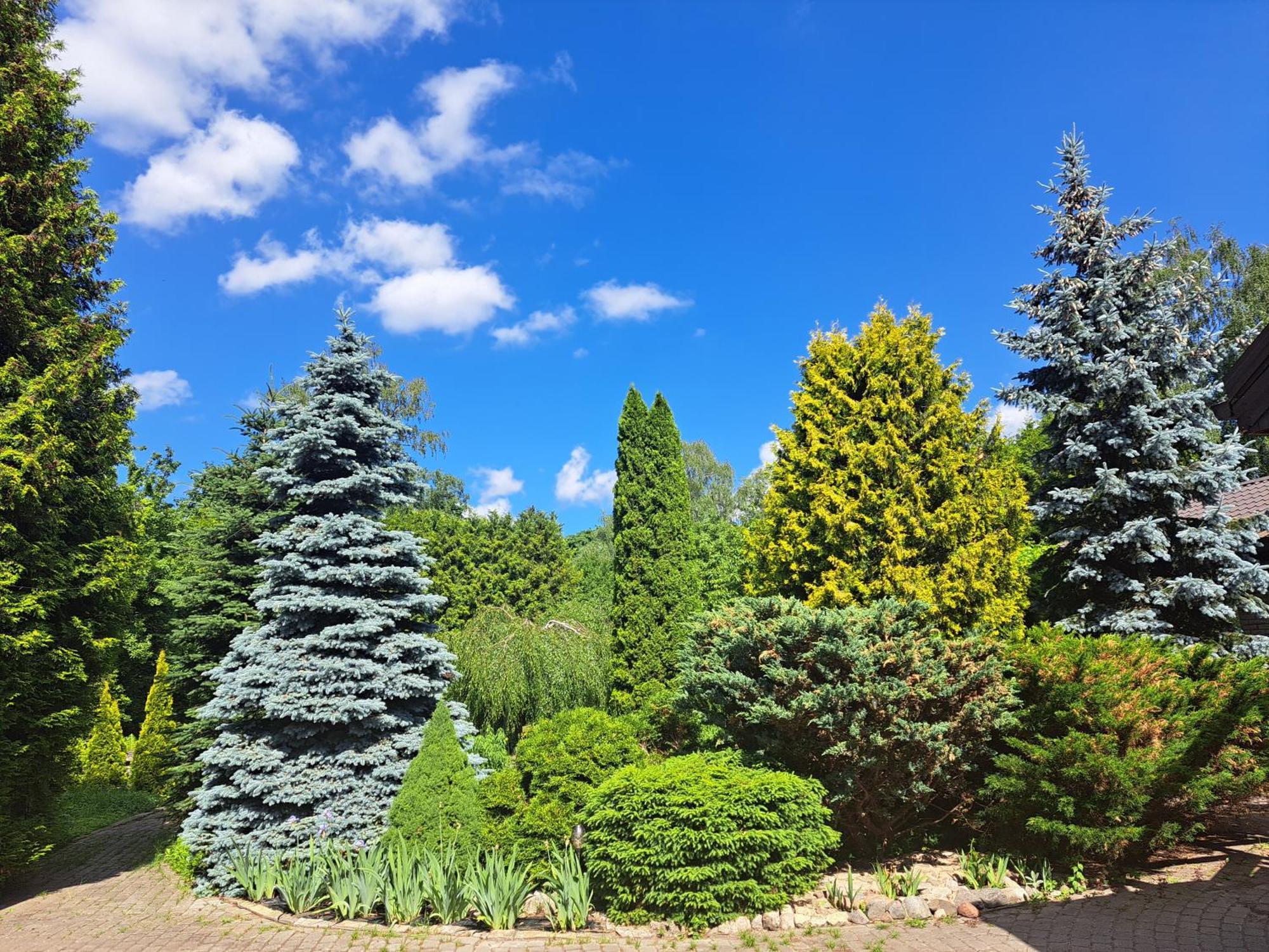 ריגה Champetre Park View Apartments מראה חיצוני תמונה